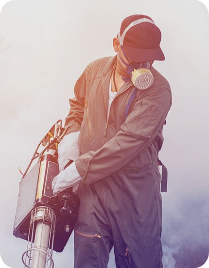 Professional pest control in Lucknow