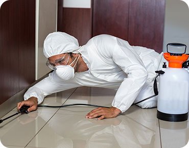 Termite treatment blog
