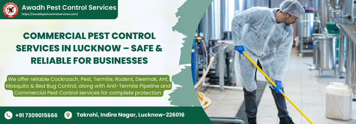 Commercial Pest Control Services in Lucknow – Safe & Reliable for Businesses