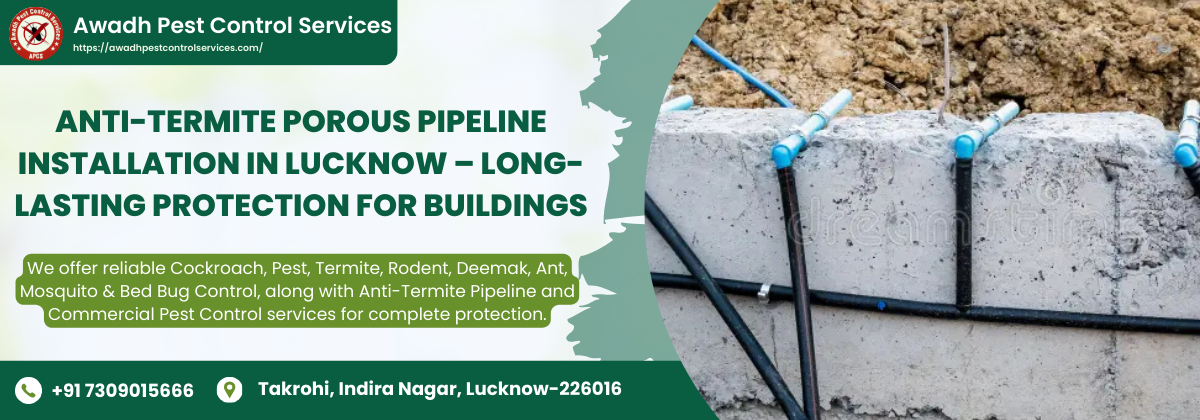Anti-Termite Porous Pipeline Installation in Lucknow – Long-Lasting Protection for Buildings