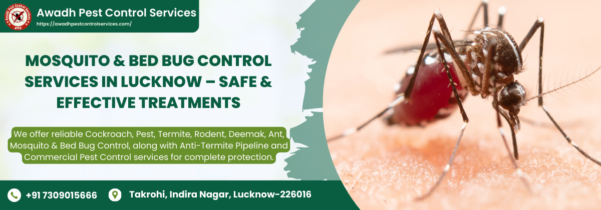 Mosquito & Bed Bug Control Services in Lucknow – Safe & Effective Treatments