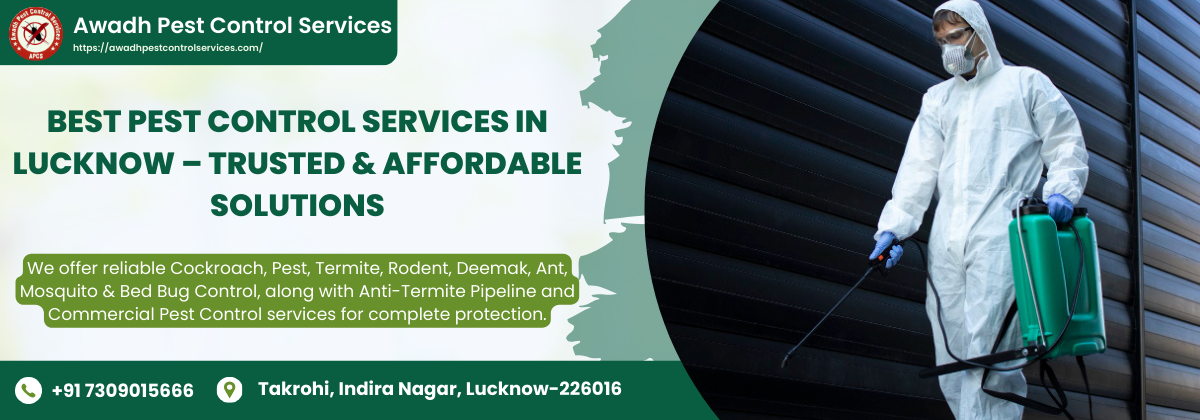 Best Pest Control Services in Lucknow – Trusted & Affordable Solutions