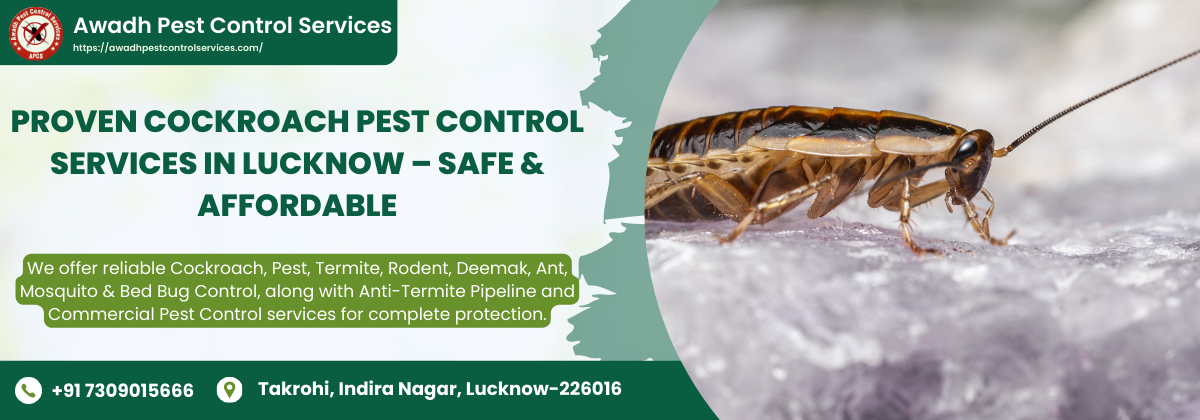 Proven Cockroach Pest Control Services in Lucknow – Safe & Affordable